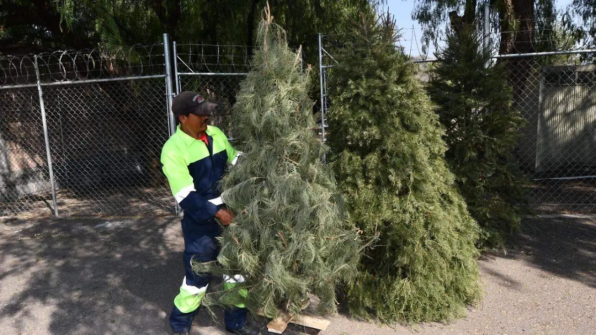 No tires tu árbol navideño