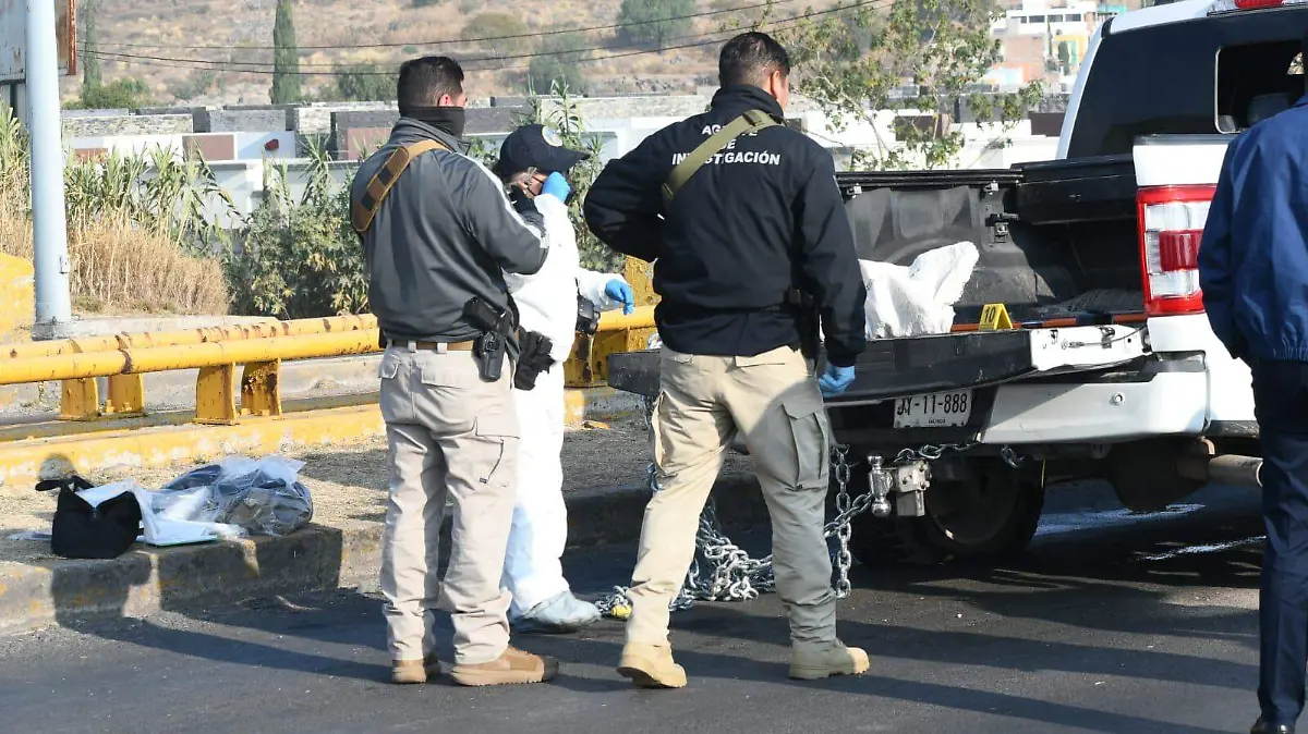 WhatsApp Image 2026-01-09 at 09.14.53