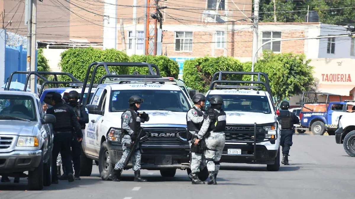 WhatsApp Image 2026-01-09 at 15.23.56 (1)