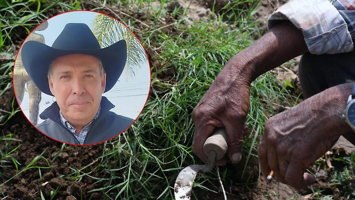 WhatsApp Image 2026-01-10 at 16.06