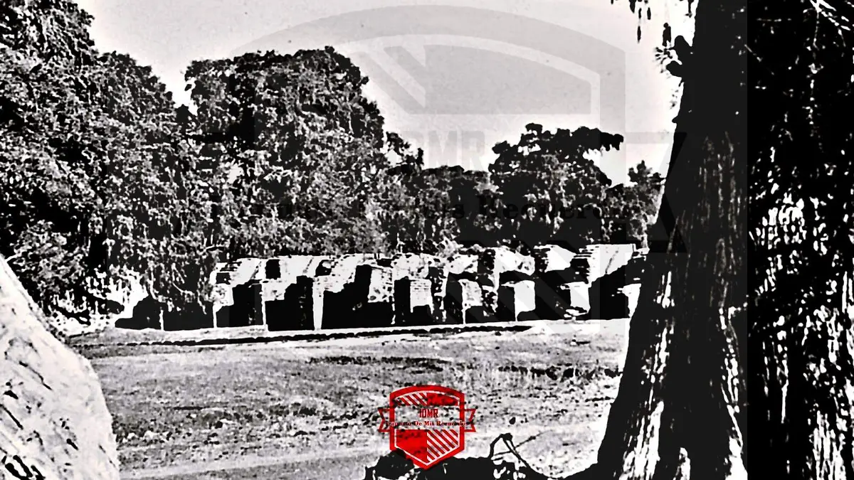 WhatsApp Image 2026-01-10 at 19.04.14