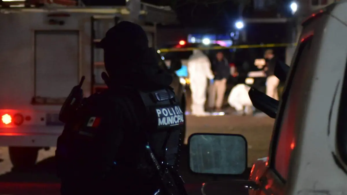 WhatsApp Image 2026-01-10 at 20.11.11 (1)