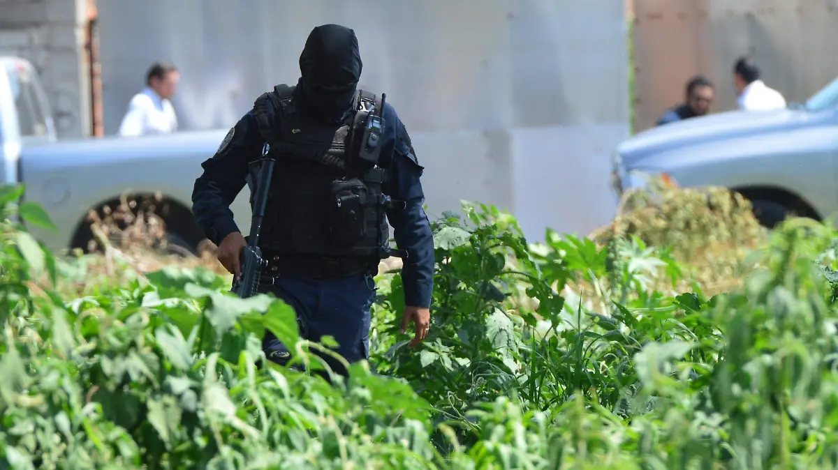 Depuración-policial-en-Guanajuato