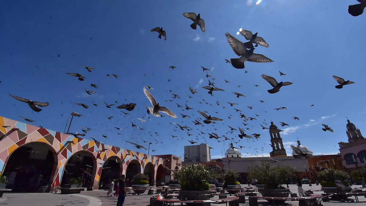 Gobierno de Irapuato viajará a España