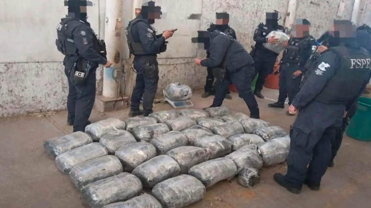 WhatsApp Image 2026-01-14 at 8.34.05 PM