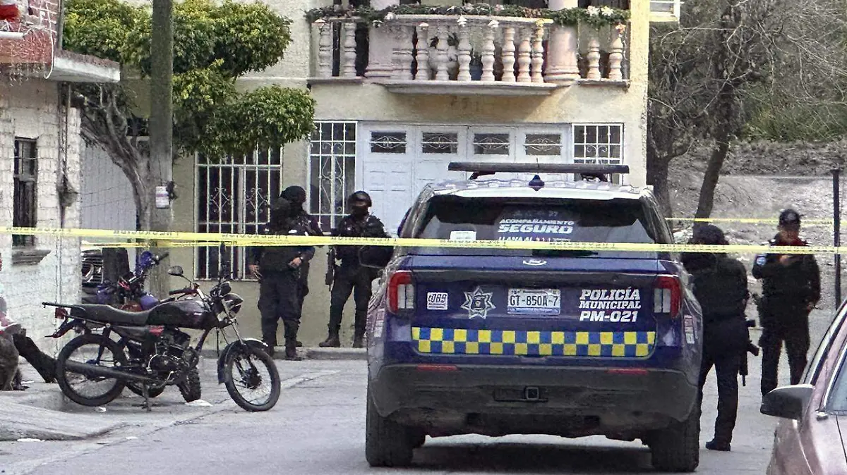 WhatsApp Image 2026-01-17 at 7.27.00 PM