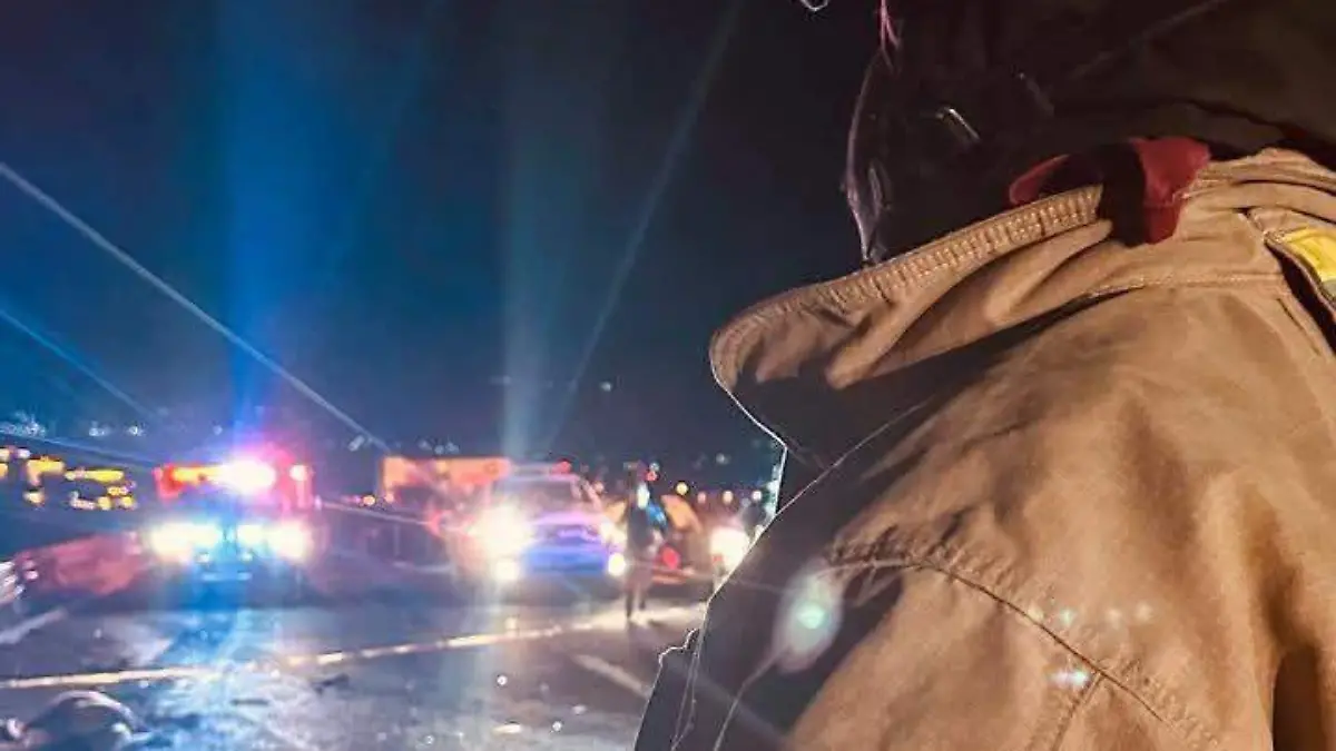 WhatsApp Image 2026-01-17 at 10.24.13 PM