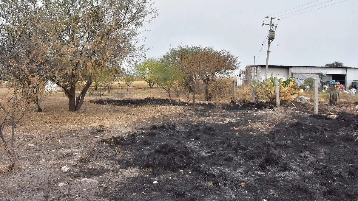 QUEMA DE MEZQUITES.- RICARDO SANCHEZ.- EL SOL DE IRAPUATO (3)