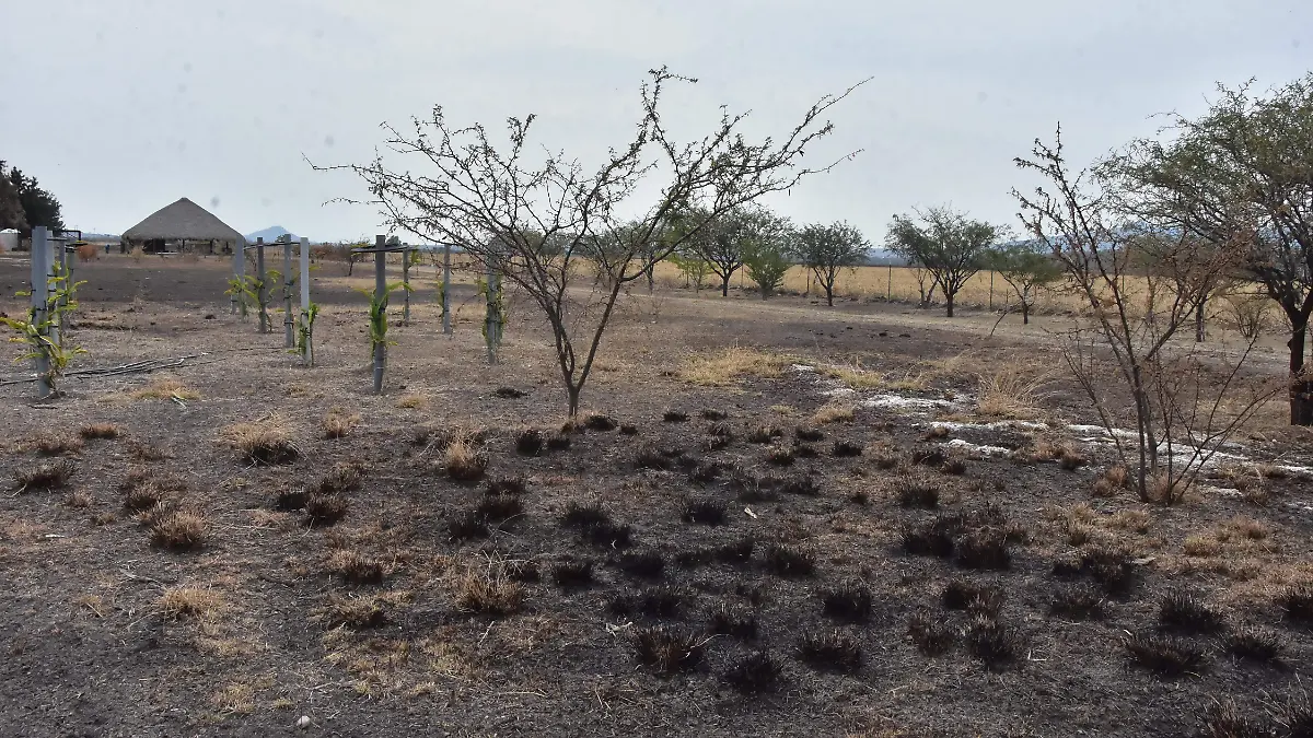 
La-labor-de-vigilancia