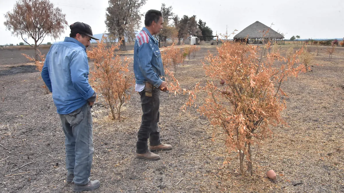
Habitantes-y-activistas