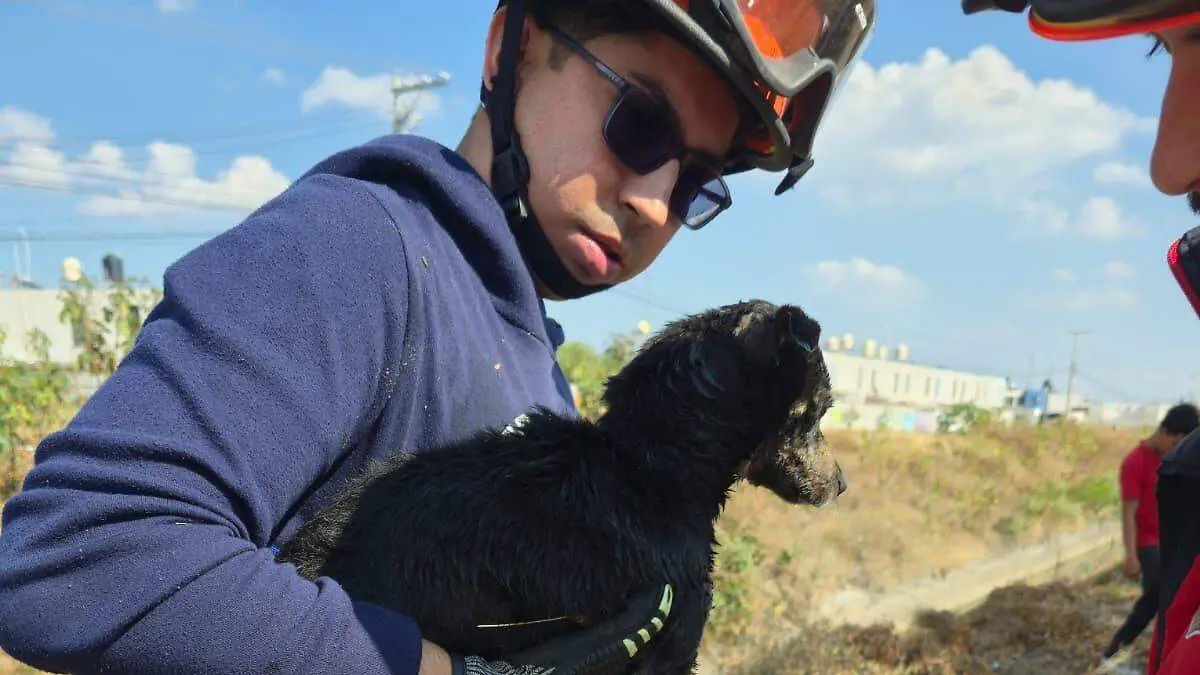 106afc6a-64fa-46aa-916c-80e054769715