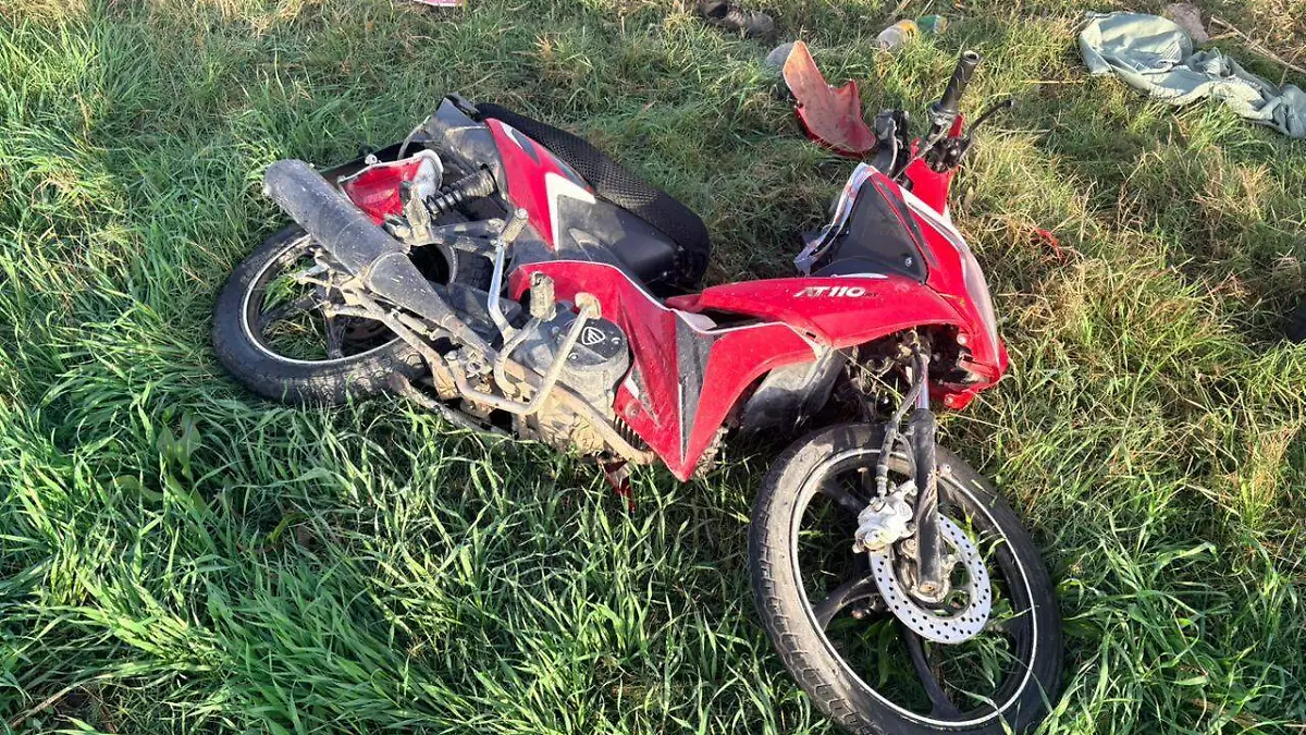 WhatsApp Image 2026-01-23 at 09.37.22