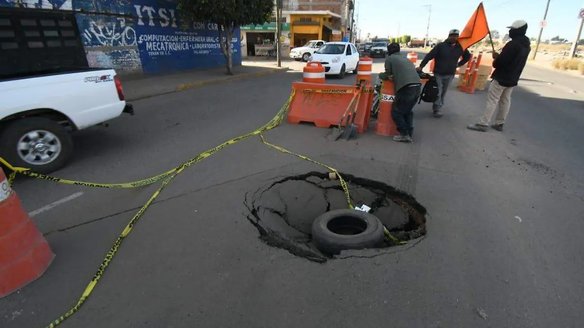 WhatsApp Image 2026-01-23 at 11.57.45