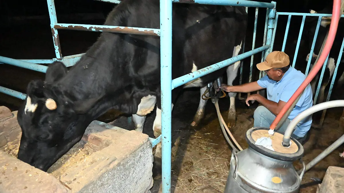 Por alta demanda en Estados Unidos exportación de cortes de alta calidad encarece la carne de res en México