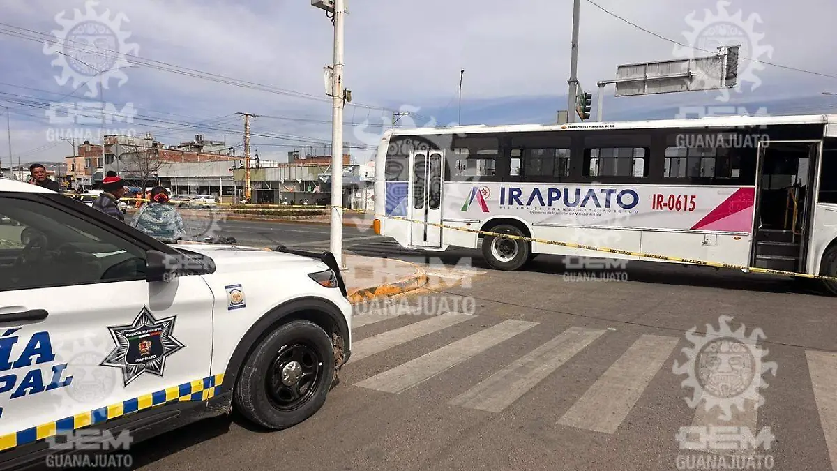 3b11ef6b-b570-4abc-a590-29fba7606903_watermarked