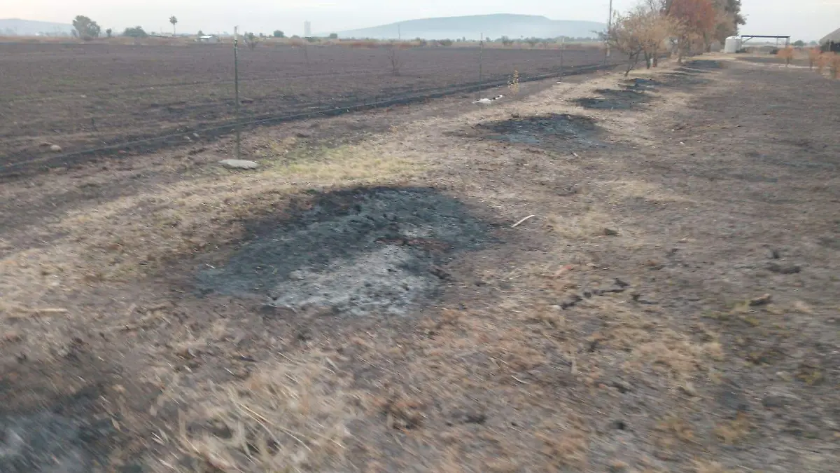 WhatsApp Image 2026-01-20 at 9.40.07 AM (1)