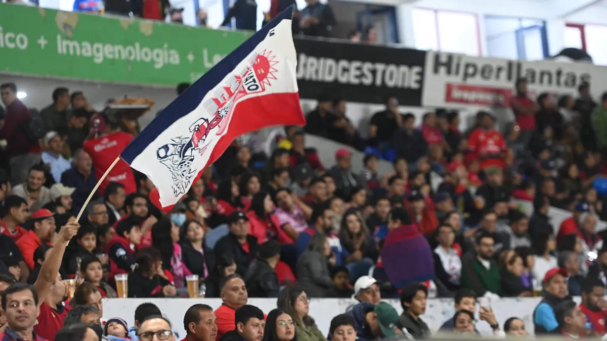 Trinca Fresera de Irapuato