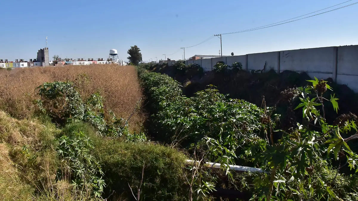 CRUCERO DEL TREN FRAC. HORIZONTES.- RICARDO SANCHEZ.- EL SOL DE IRAPUATO (16)
