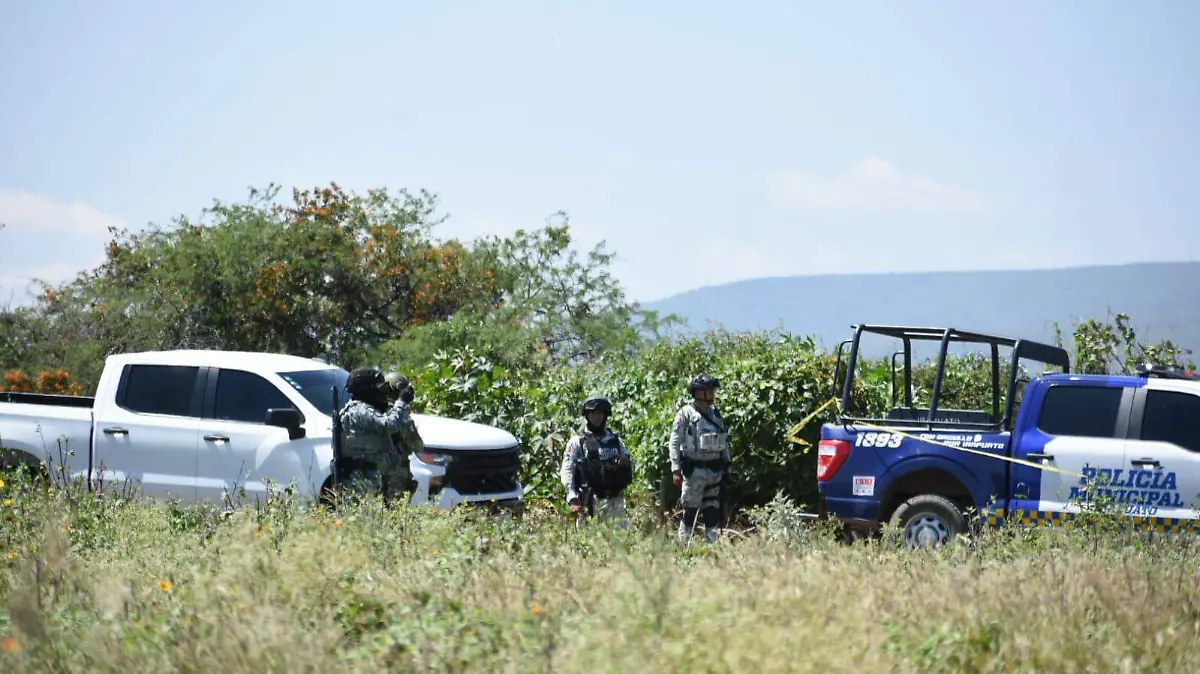 ab65ea20-abab-4a39-987a-370eb0481082