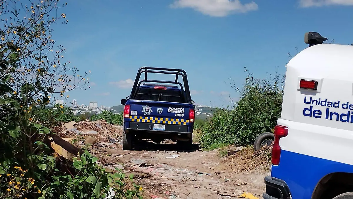 7245bdfa-4b6e-4e7e-a2f8-4ec716523012