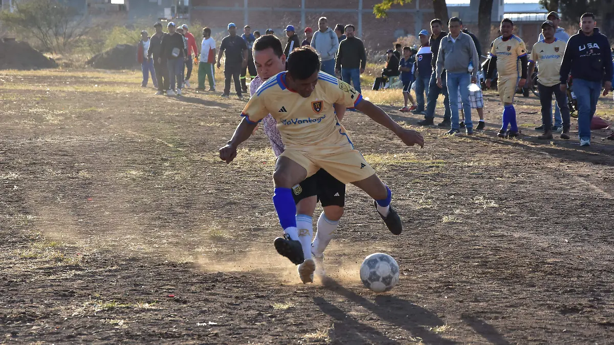 La-alcaldesa-señaló