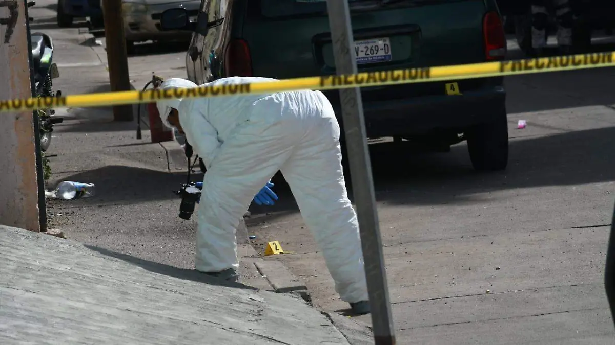 WhatsApp Image 2026-01-30 at 14.18.05