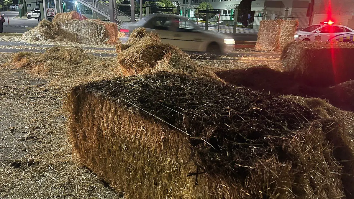 1c868b7c-6573-4902-97fe-ab75fac0b488