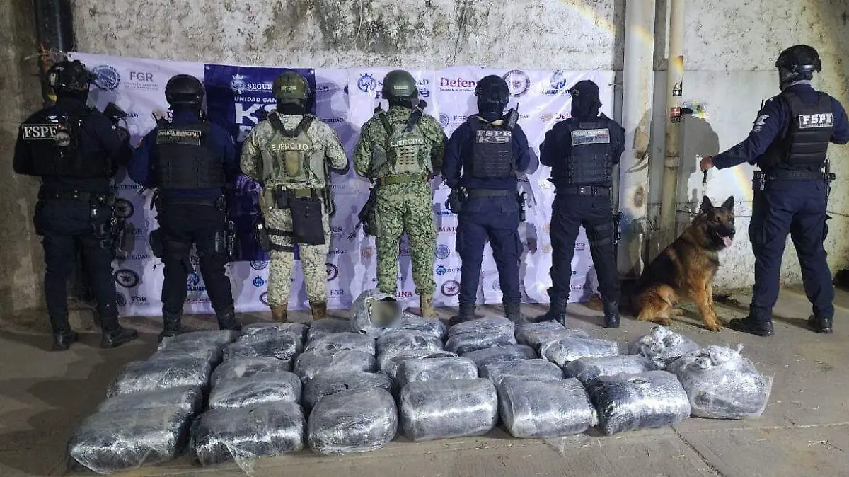 WhatsApp Image 2026-02-01 at 12.12.48