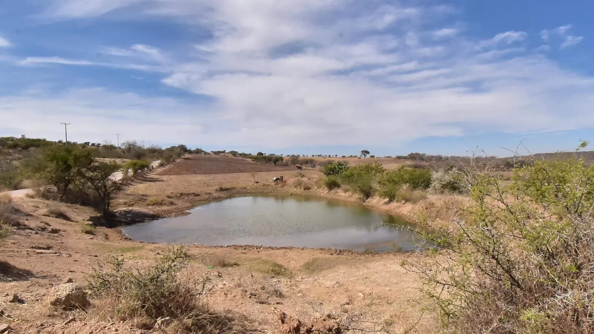 VIABILIDAD DE LA LIMPIEZA DEL AGUA .- RICARDO SANCHEZ.- EL SOL DE IRAPUATO (2)