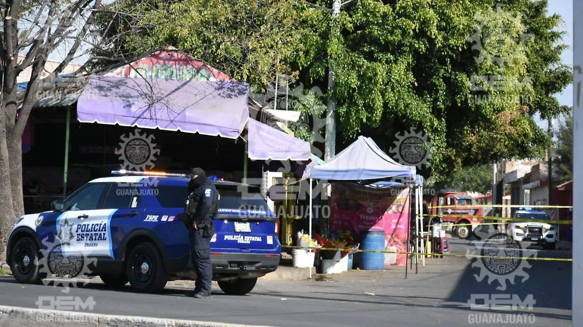 WhatsApp Image 2026-02-05 at 3.58.20 PM (1)_watermarked