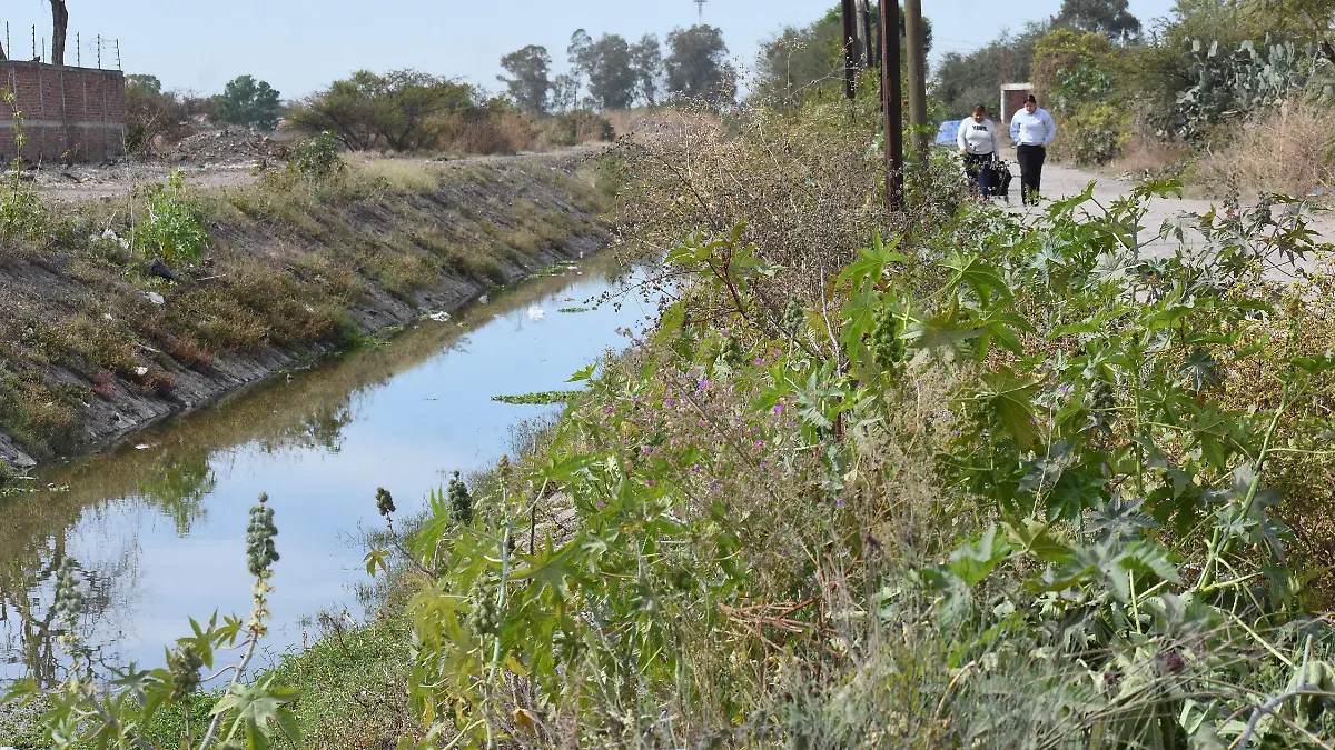 Japami inicia limpieza de ríos y arroyos en Irapuato