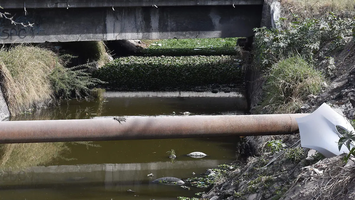 Japami inicia limpieza de ríos y arroyos en Irapuato
