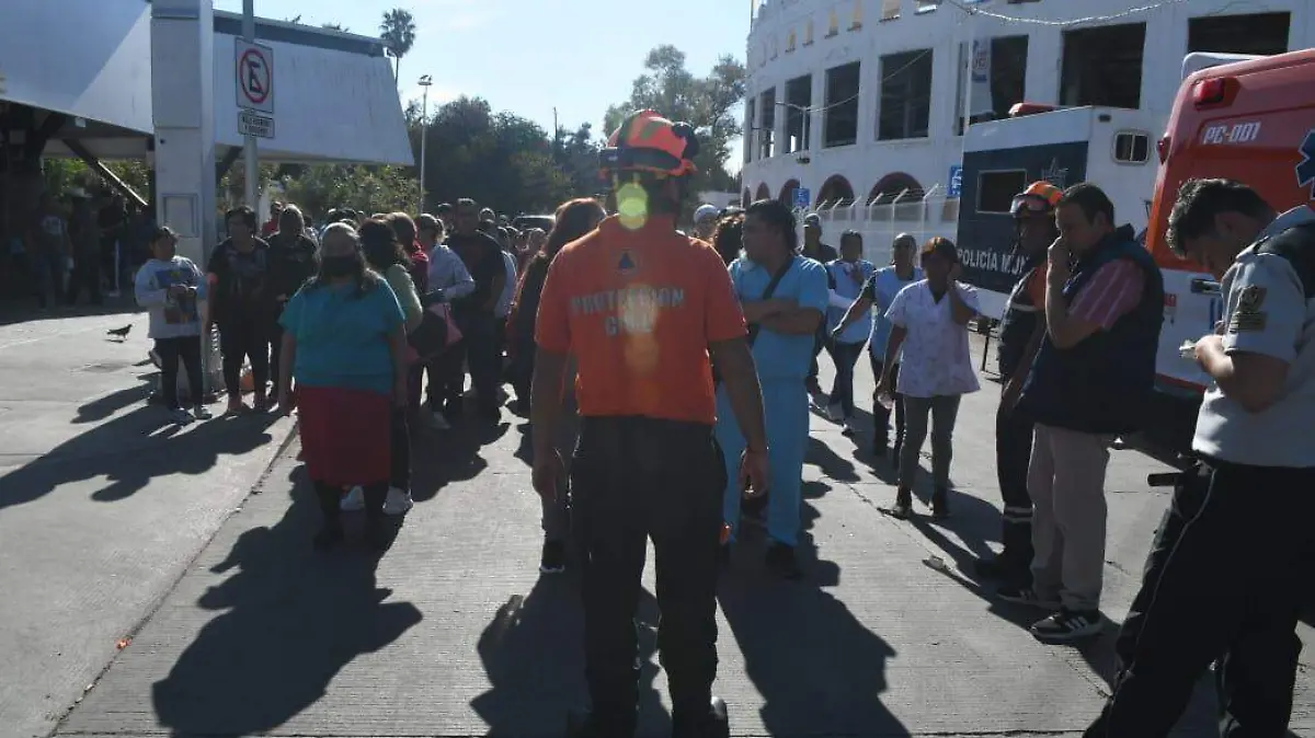 WhatsApp Image 2026-02-08 at 16.34.45