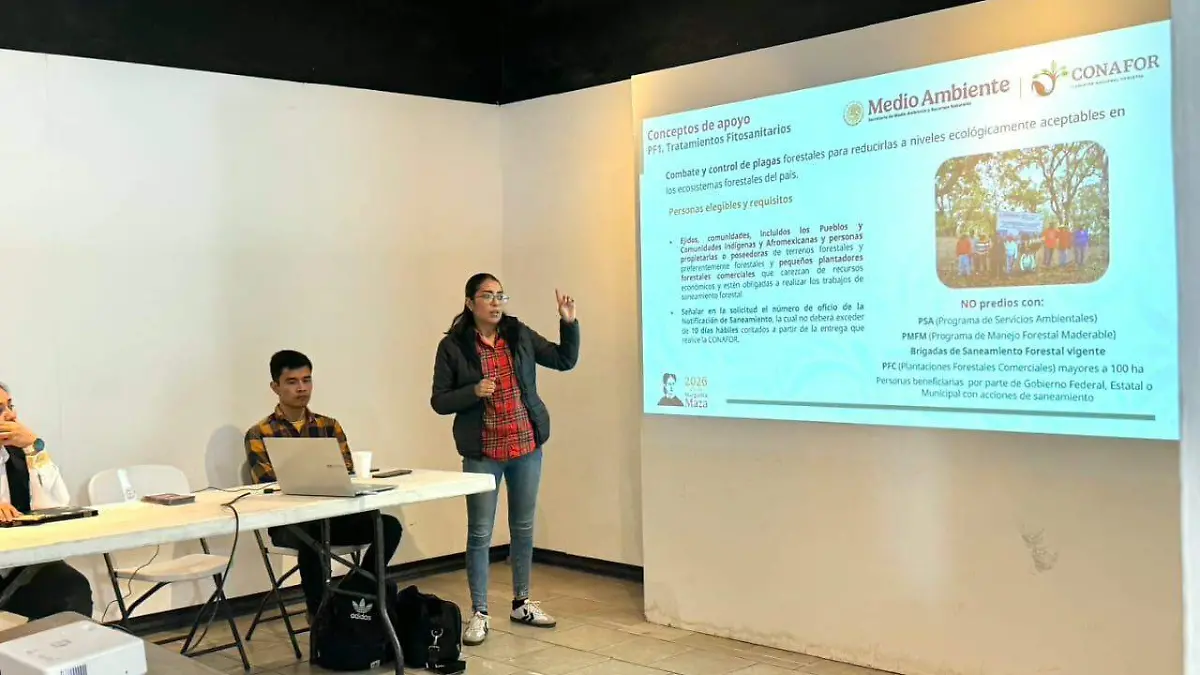 Acciones-de-sanidad-forestal