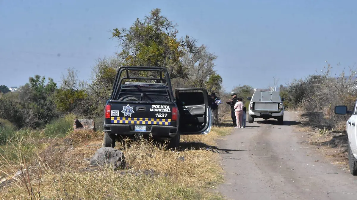 7be2906f-7ba6-4636-91ee-0cd0aa5bae69