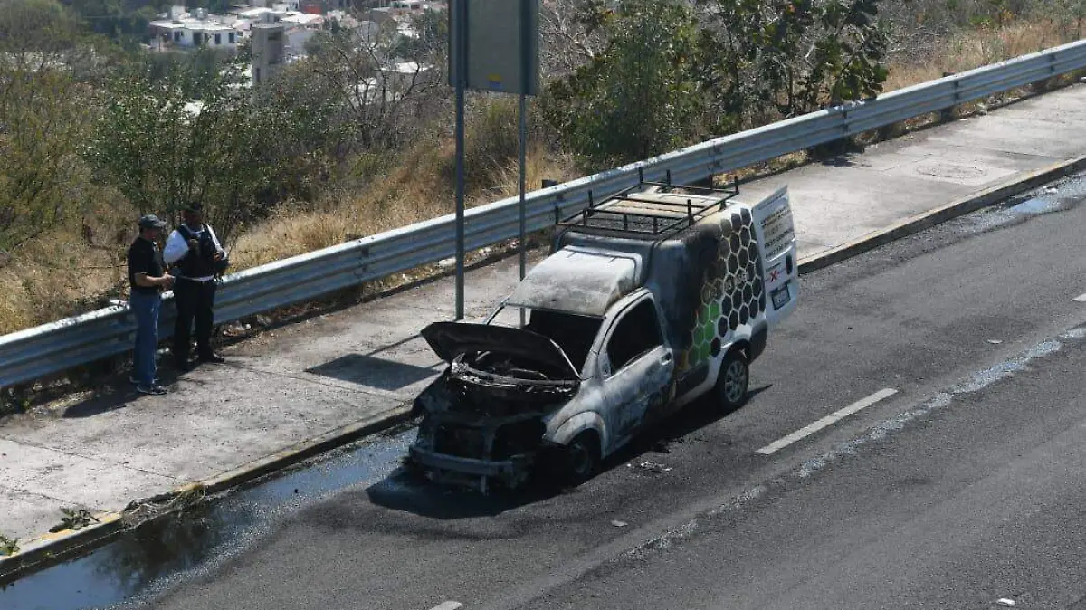 WhatsApp Image 2026-02-13 at 14.52.34