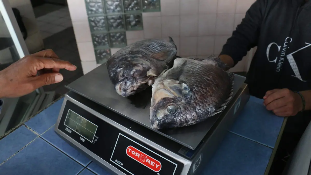 Presios de cuaresma , Jesus Gutierrez El Sol de Iraputo (1)