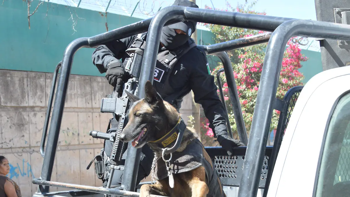 Contraloría de Irapuato