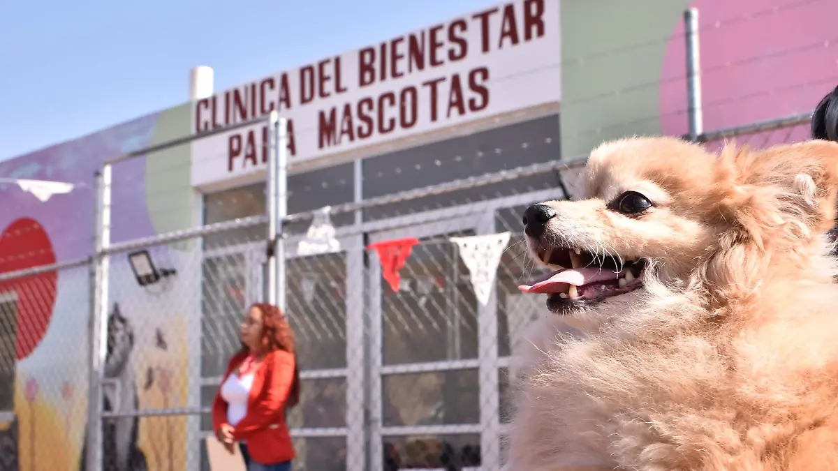 PENJAMO Clinica Mascotas del Bienestar (1)