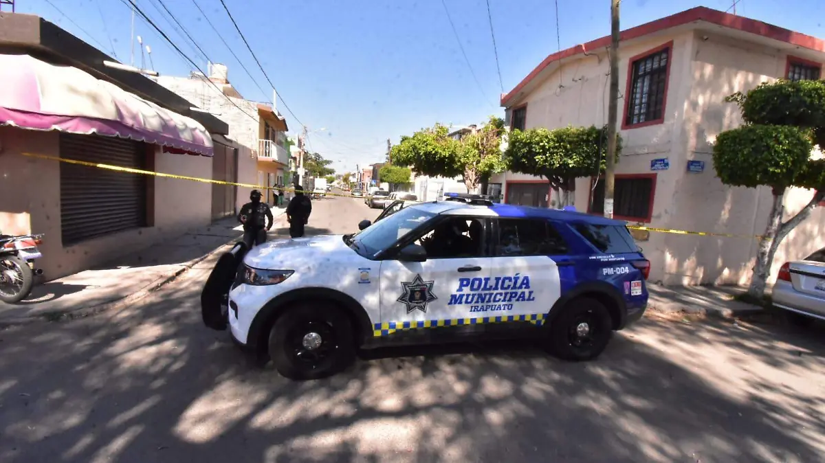 WhatsApp Image 2026-02-20 at 15.28.06