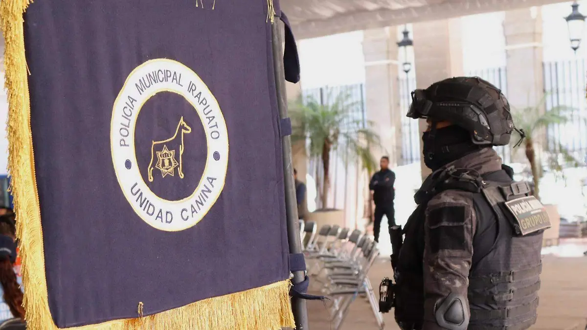 academia binomios caninos (1)