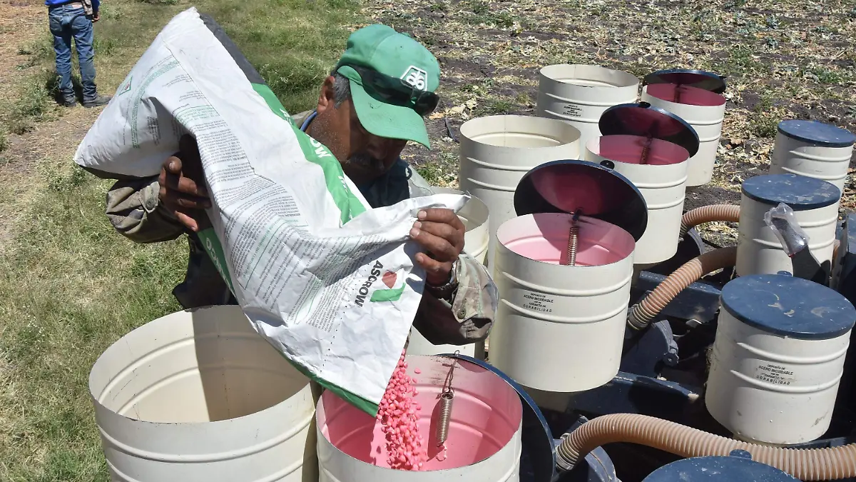 El campo es el sector laboral más golpeado en 2025