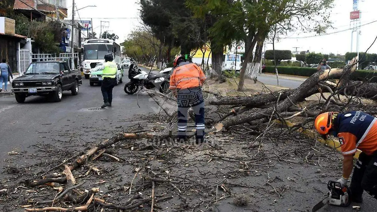 Alerta Protección Civil por fuertes rachas de viento en Irapuato (1)