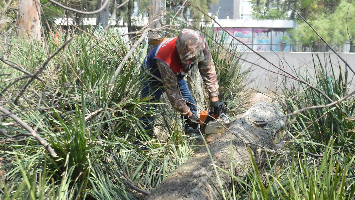 Fuertes-rachas-de-viento-en-Irapuato