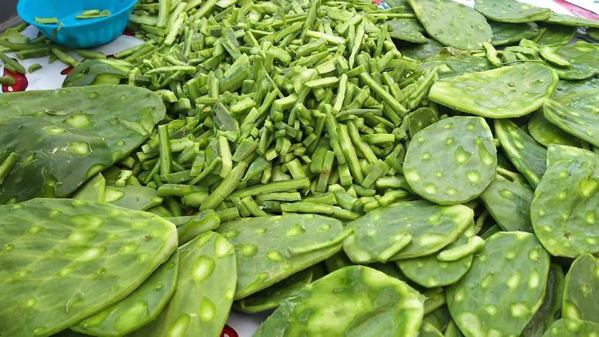 PENJAMO Comerciantes de Nopales  (10)