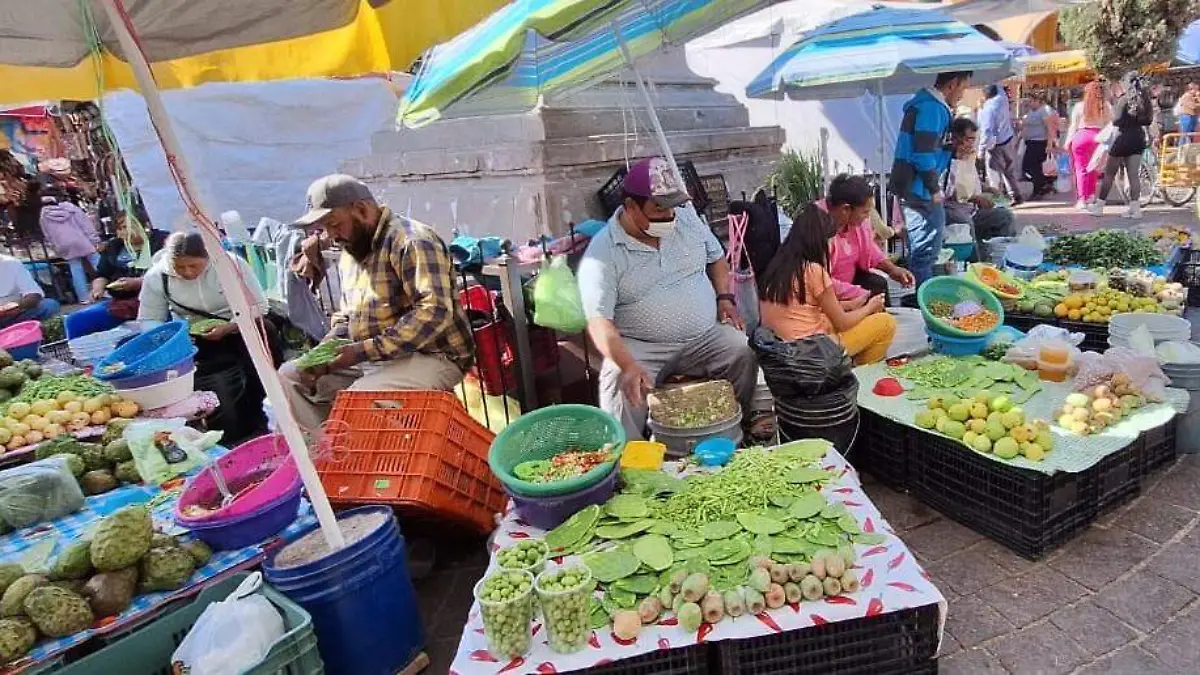 PENJAMO Comerciantes de Nopales  5