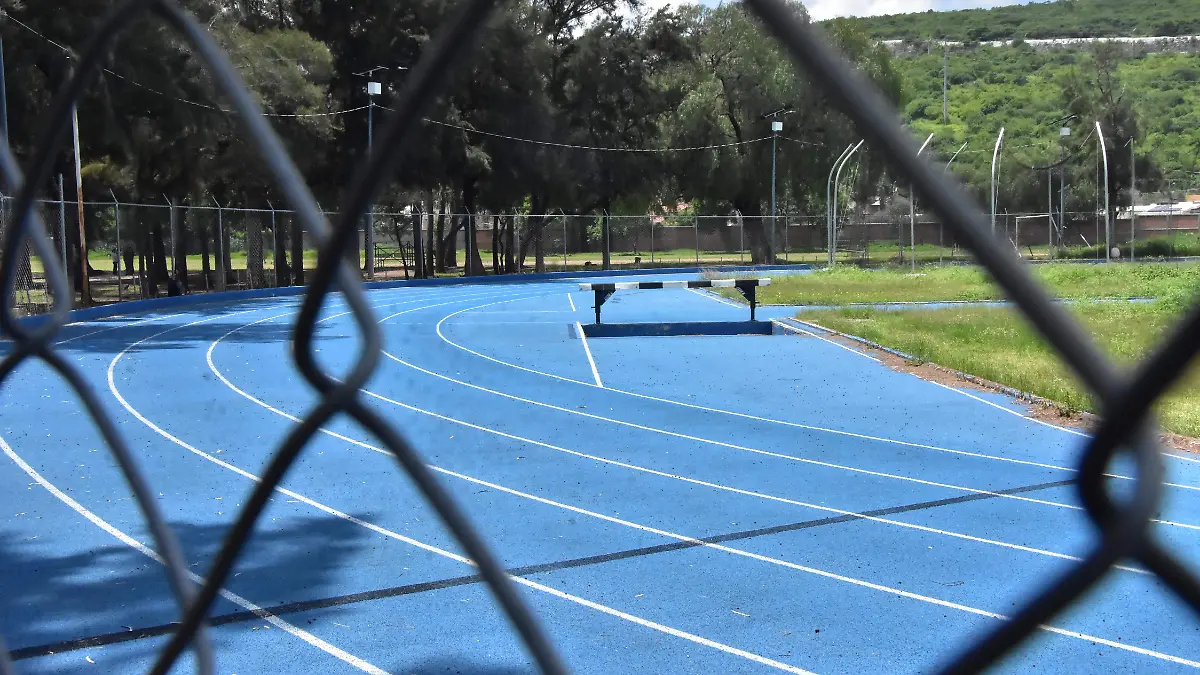 Reanudan actividades deportivas en Irapuato; esperan entre mil y mil 500 atletas en estatal de taekwondo
