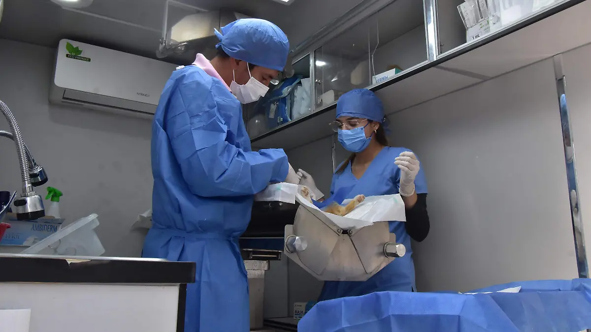 ESTERILIZACION DE MASCOTAS.- RICARDO SANCHEZ.- EL SOL DE IRAPUATO (2)