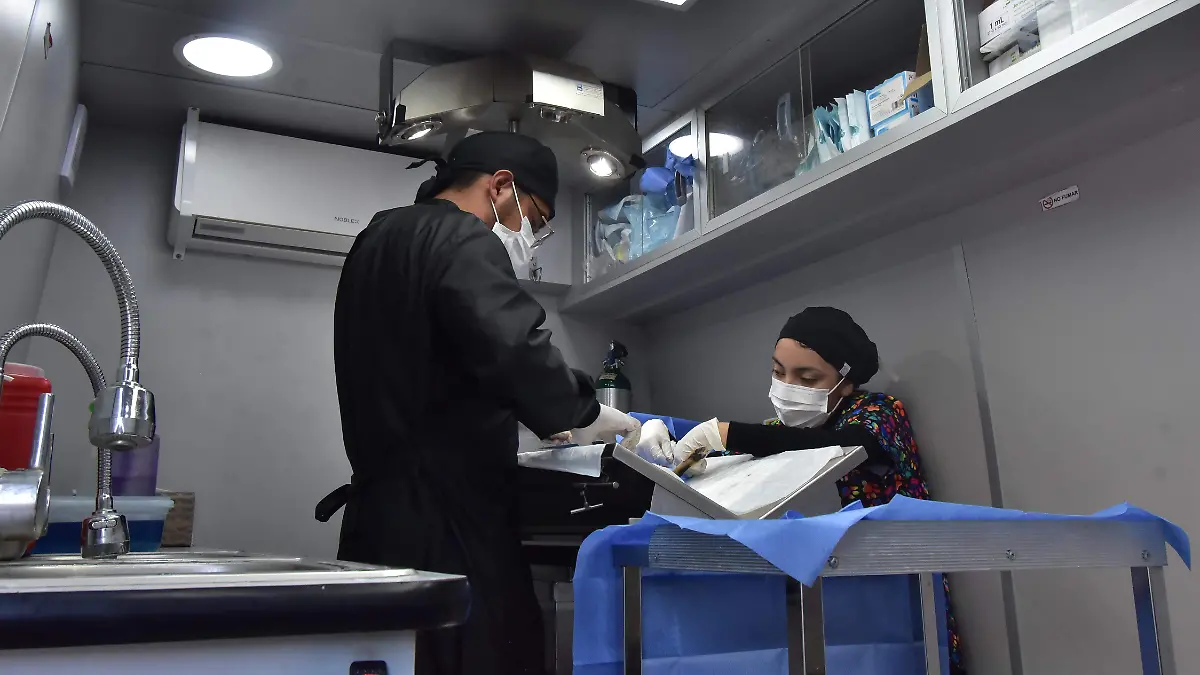 Irapuato-esteriliza-a-mil-mascotas-en-cuatro-meses