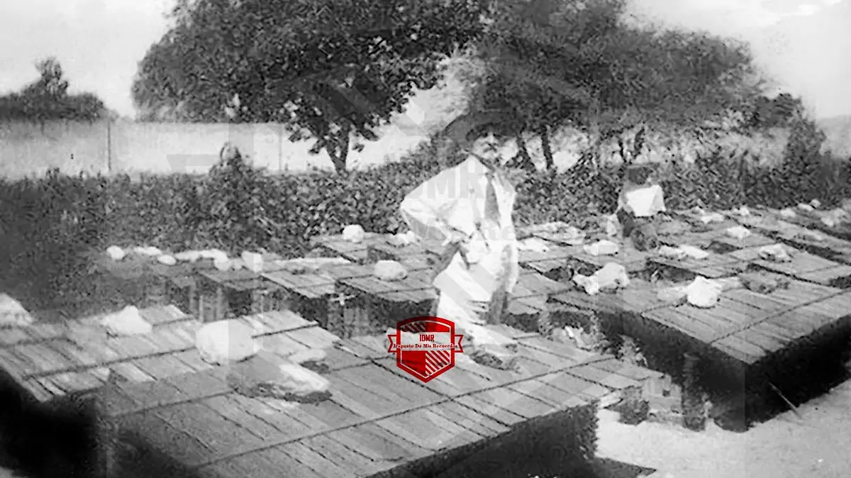 01 IDMR Hipolito Chambon.jpg